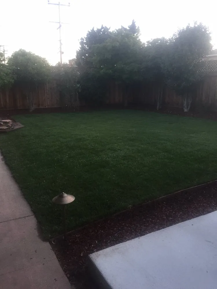 Local yard cleanup service for outdoor upgrades in San Mateo, CA by IG Landscapes