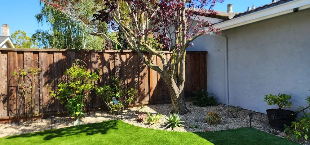 Reliable landscaping services for beautiful yards across San Mateo, CA - IG Landscapes