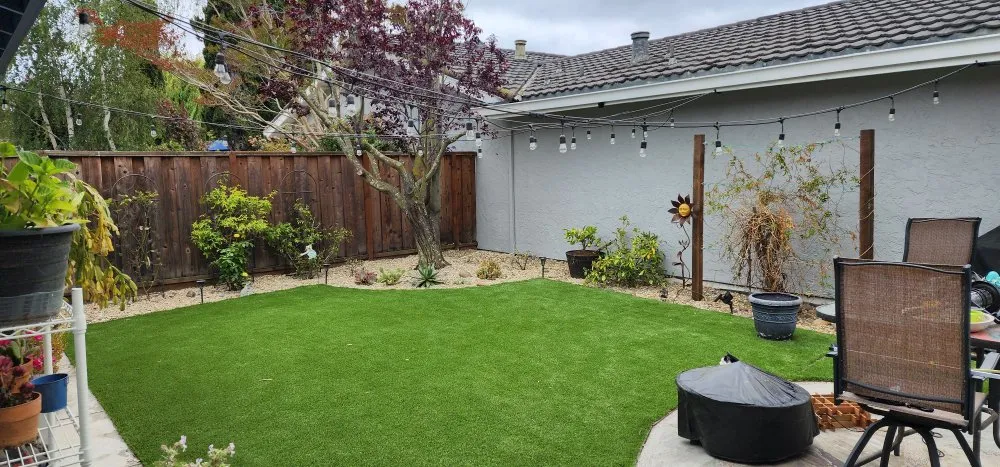 Reliable yard cleanup service in San Mateo, CA by IG Landscapes
