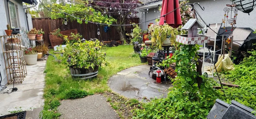 Professional landscaping services experts serving San Mateo, CA - IG Landscapes