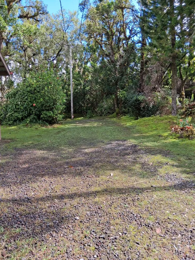 Affordable yard cleanup service in Keaau, HI - Igb Yard Service