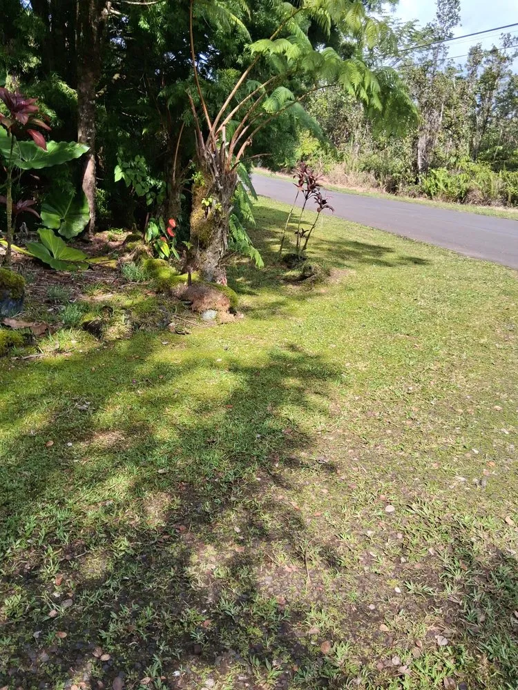 Expert yard maintenance in Keaau, HI - Igb Yard Service