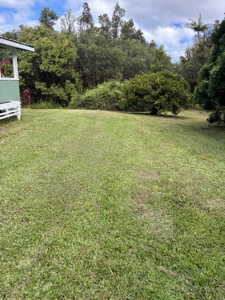 Reliable landscaping services in Keaau, HI by Igb Yard Service