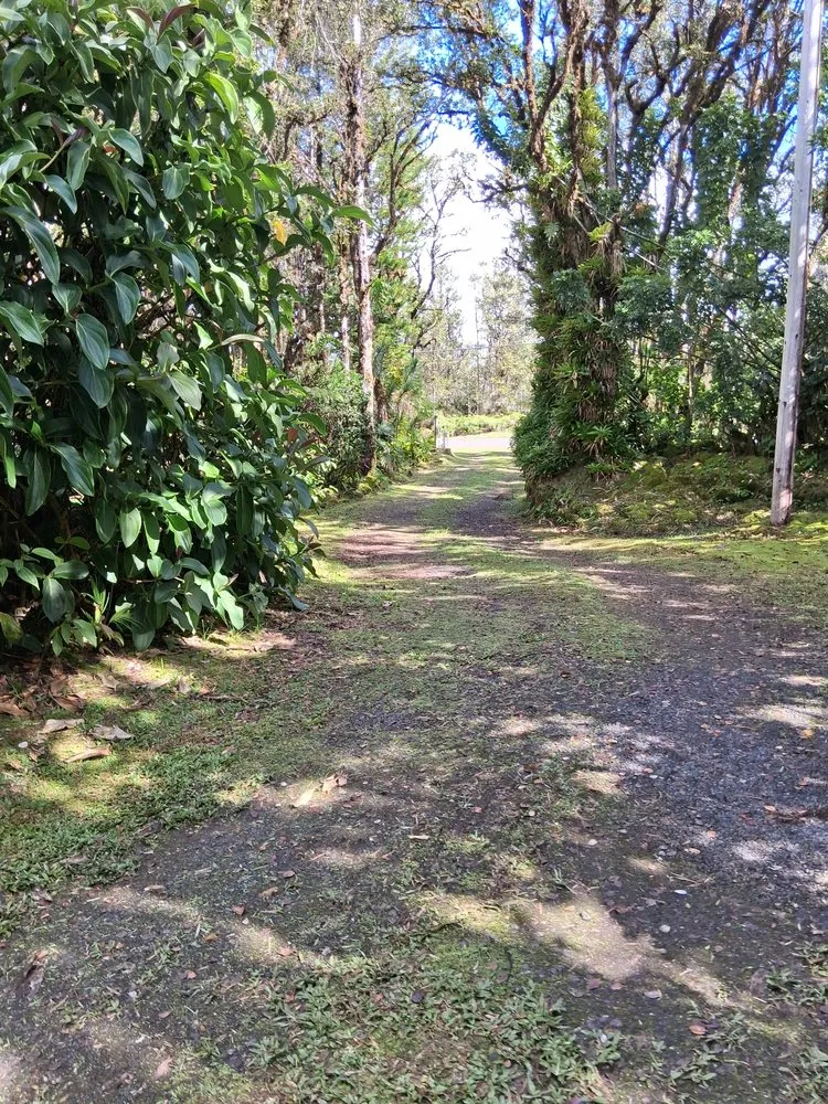 Trusted yard maintenance for homes across Keaau, HI - Igb Yard Service