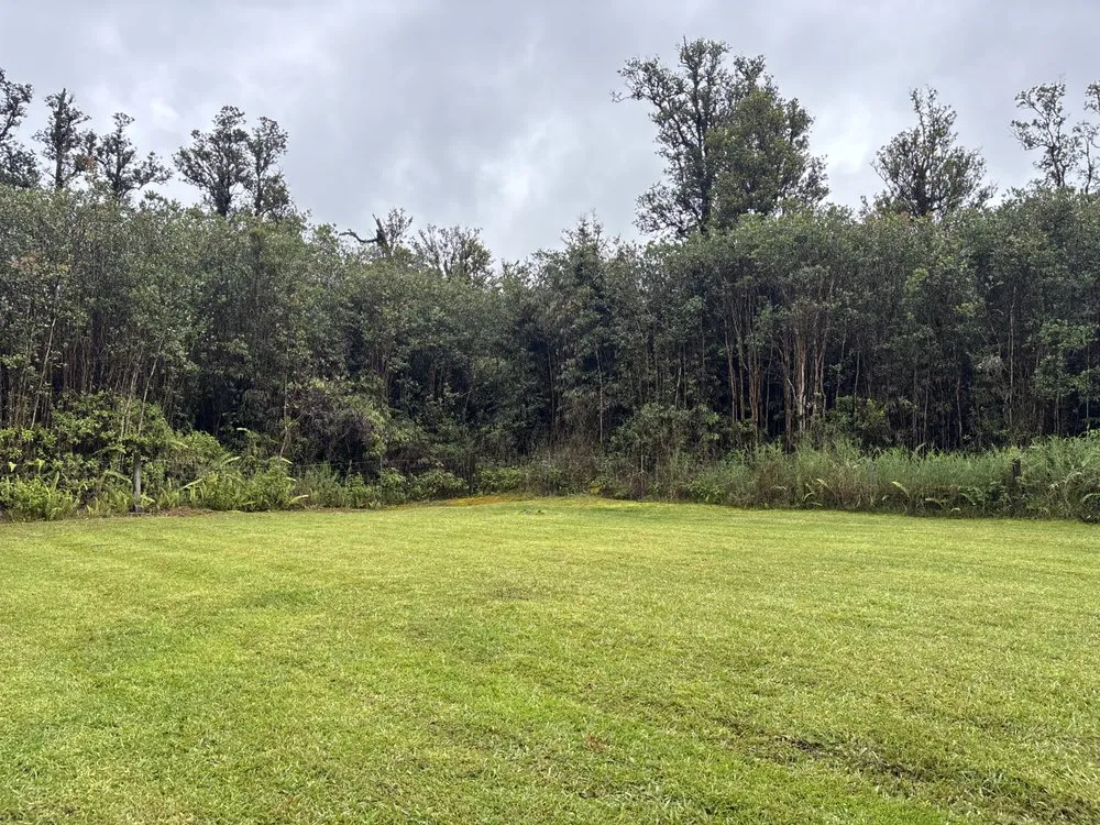 Top-rated landscape installation in Keaau, HI by Igb Yard Service