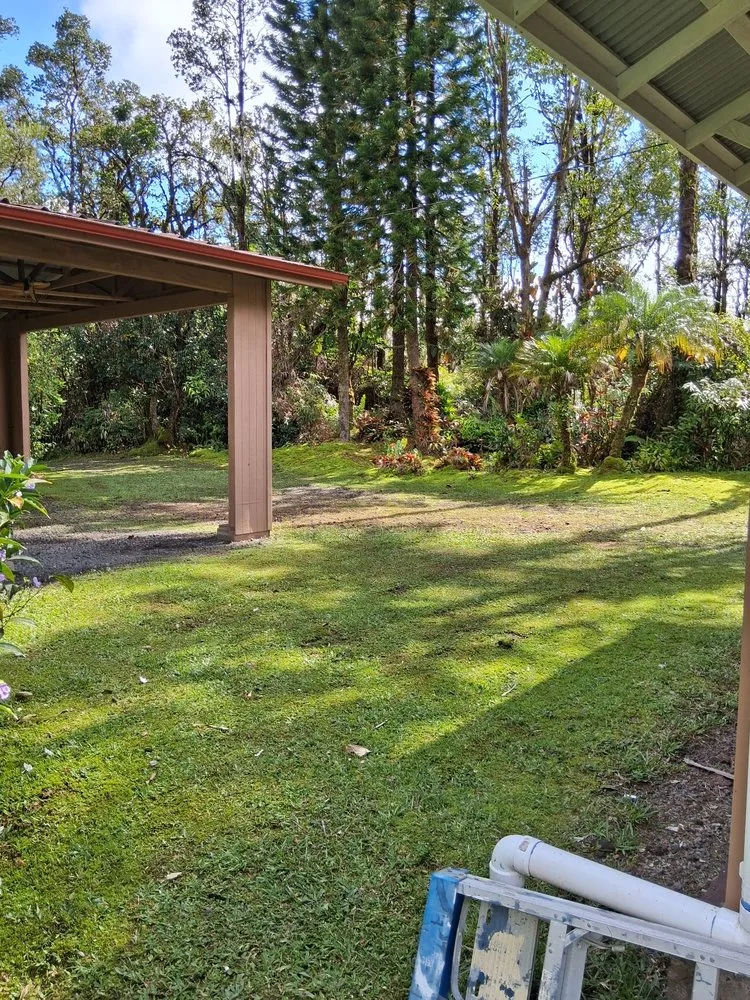 Professional landscape installation in Keaau, HI by Igb Yard Service