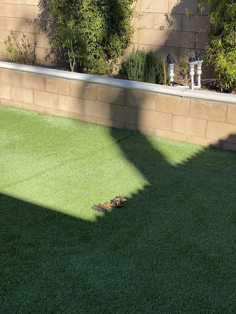 Custom residential landscaping in Perris, CA - Ignacio's Tree Service