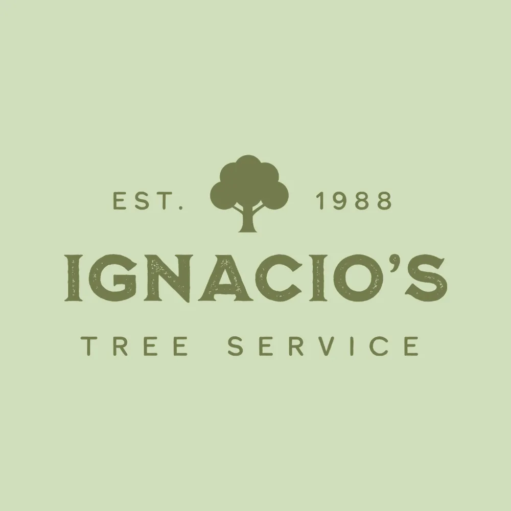 Affordable yard maintenance for beautiful yards in Perris, CA by Ignacio's Tree Service