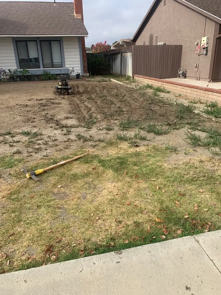 Affordable landscape installation with custom design across Perris, CA - Ignacio's Tree Service