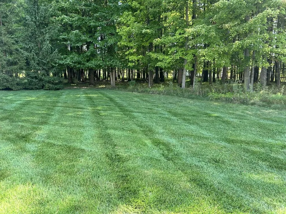 Top-rated yard cleanup service for residential properties across Medina, OH - Ignite landscaping