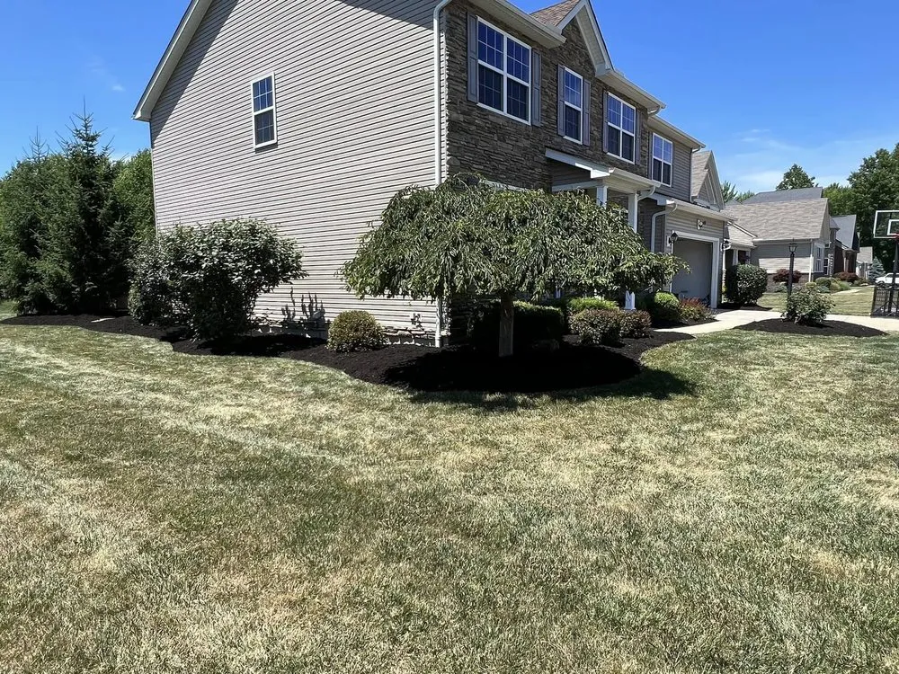 Affordable yard cleanup service near you across Medina, OH - Ignite landscaping
