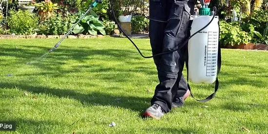 Top-rated yard maintenance in Medina, OH by Ignite landscaping