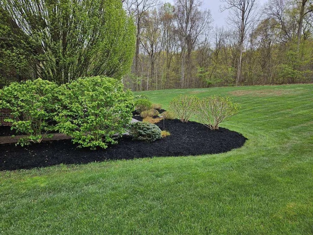 Trusted residential landscaping experts serving Medina, OH - Ignite landscaping