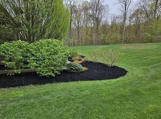 Professional landscape design for outdoor upgrades across Medina, OH - Ignite landscaping