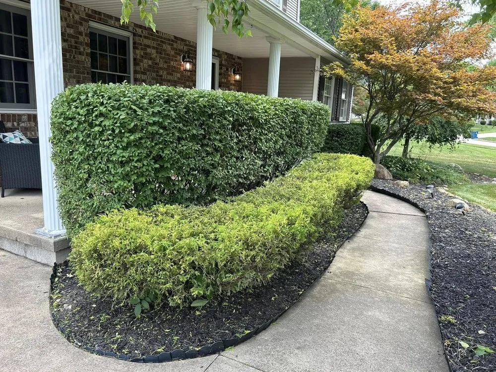 Top-rated outdoor landscaping with custom design across Medina, OH - Ignite landscaping