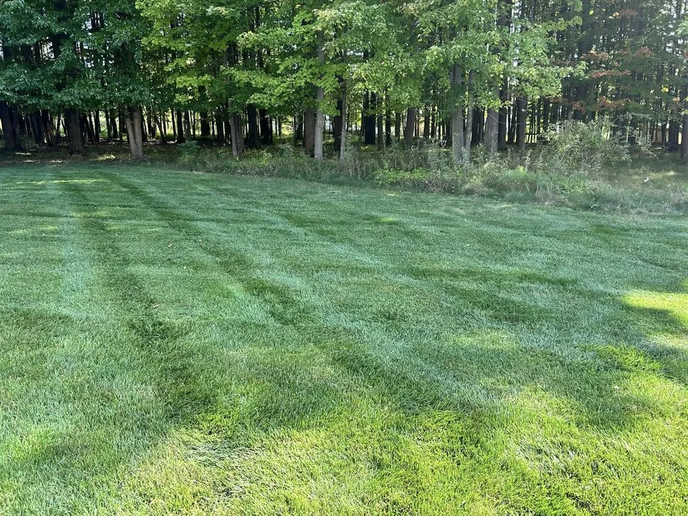 Professional landscaping services in Medina, OH - Ignite landscaping