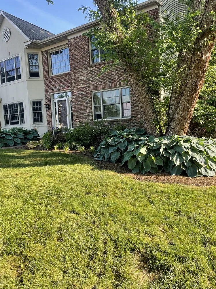 Custom landscape installation for beautiful yards across Wilmington, DE - Igo General Outdoor Solutions