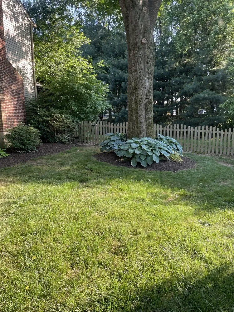 Reliable landscape installation in Wilmington, DE - Igo General Outdoor Solutions