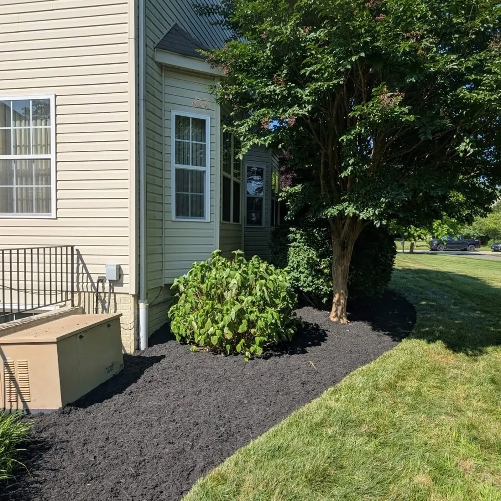 Reliable yard cleanup service experts serving Newark, DE - Igo Landscaping