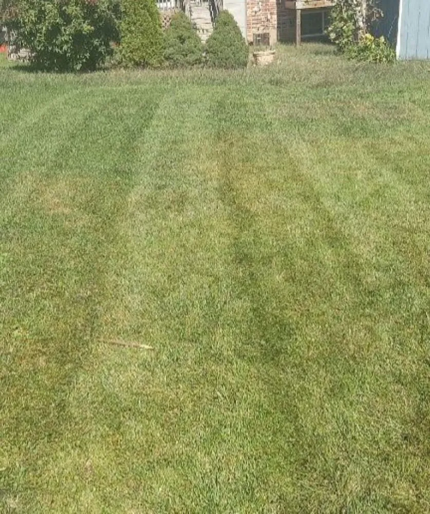 Reliable residential landscaping in Newark, DE by Igo Landscaping