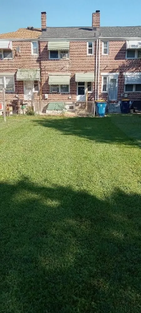 Reliable yard cleanup service experts serving Newark, DE - Igo Landscaping