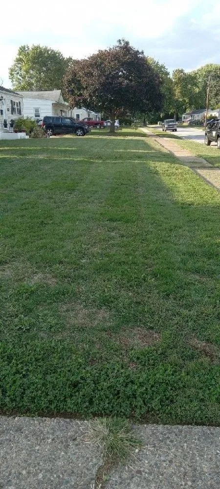 Top-rated landscape design in Newark, DE - Igo Landscaping