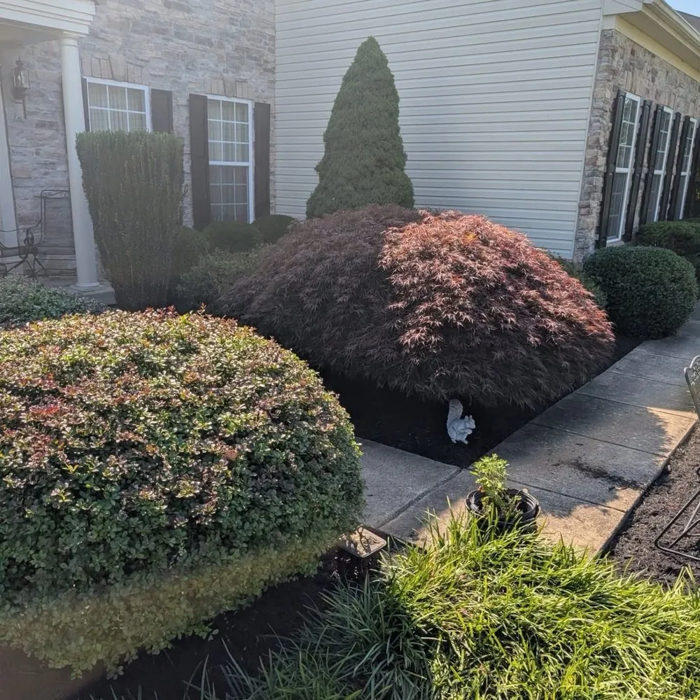 Local lawn mowing service in Newark, DE - Igo Landscaping