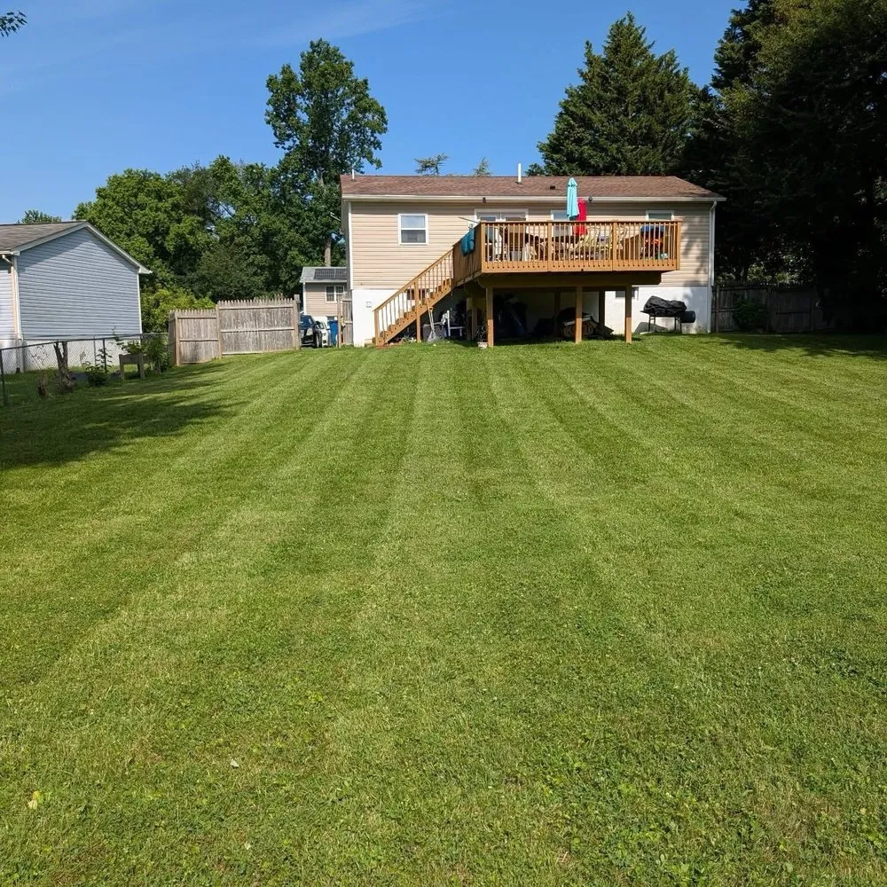 Reliable landscape installation with custom design across Newark, DE - Igo Landscaping