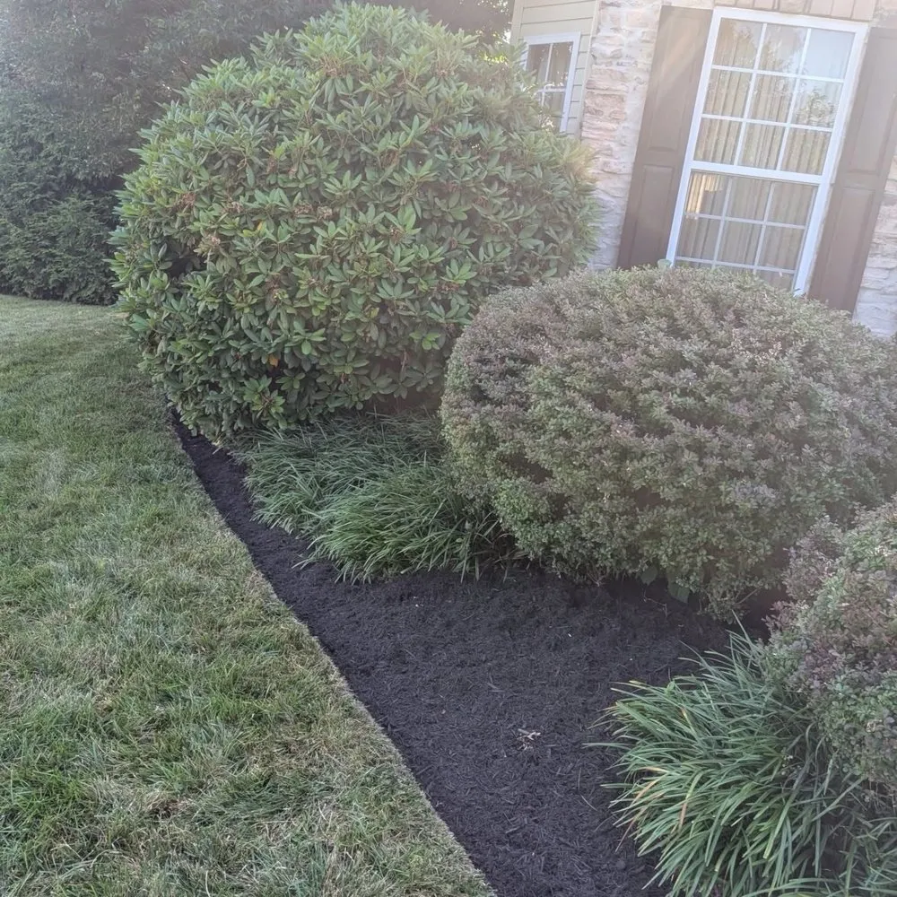 Professional landscape installation for year-round maintenance across Newark, DE - Igo Landscaping