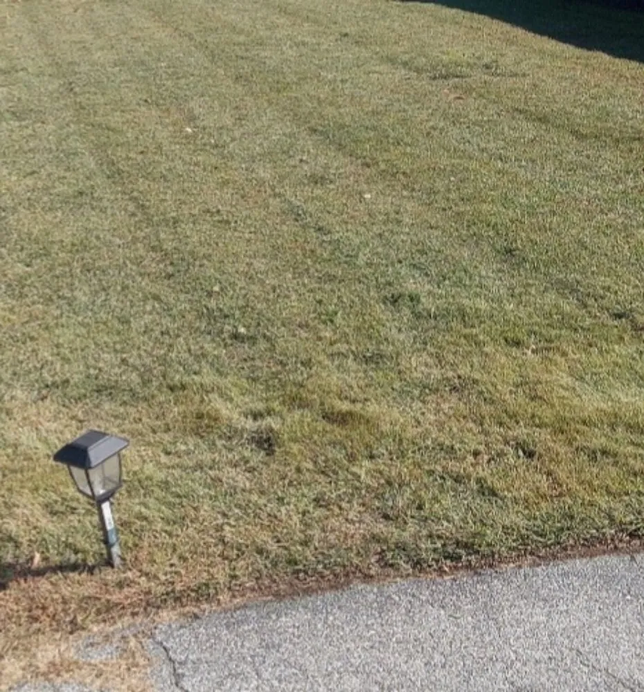 Professional landscape design experts serving Newark, DE - Igo Landscaping