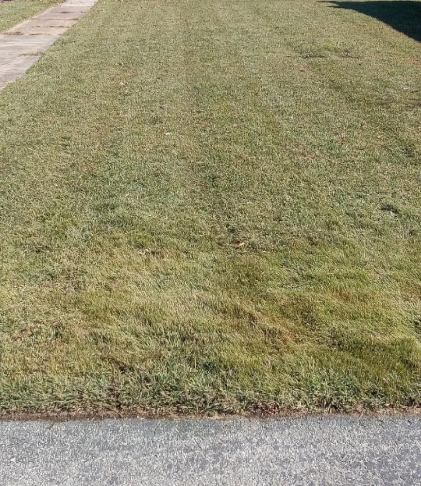 Reliable lawn mowing service in Newark, DE by Igo Landscaping
