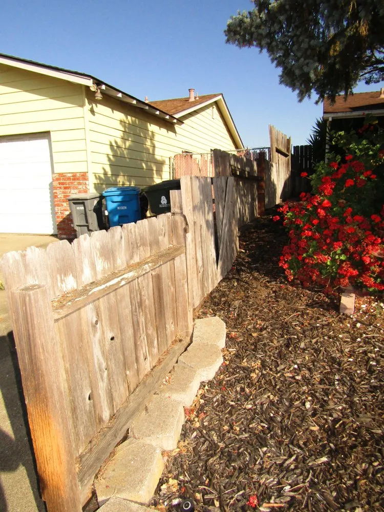 Expert yard cleanup service in American Canyon, CA - iGreen Landscaping Company