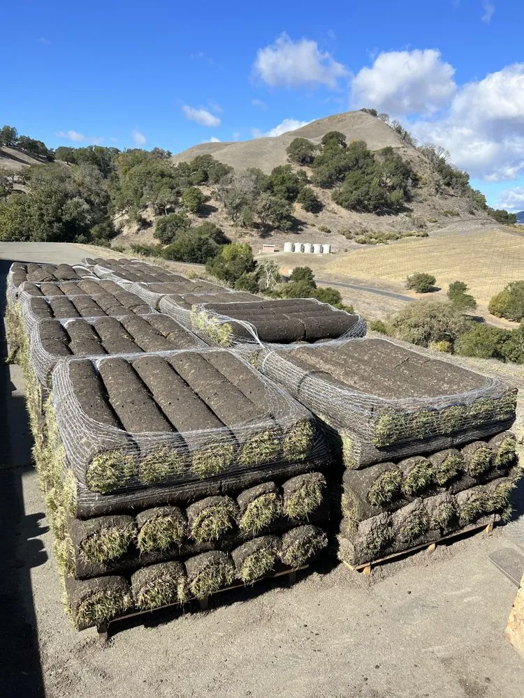 Local yard cleanup service for outdoor upgrades across American Canyon, CA - iGreen Landscaping Company