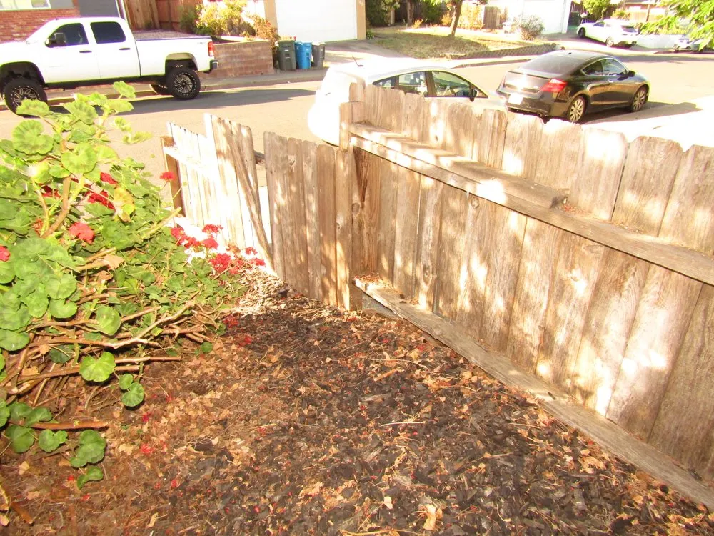 Professional yard maintenance in American Canyon, CA - iGreen Landscaping Company