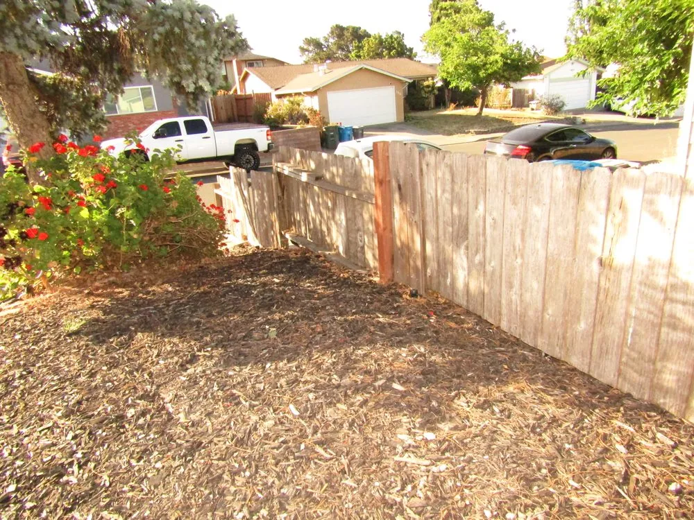 Trusted lawn care service with custom design across American Canyon, CA - iGreen Landscaping Company