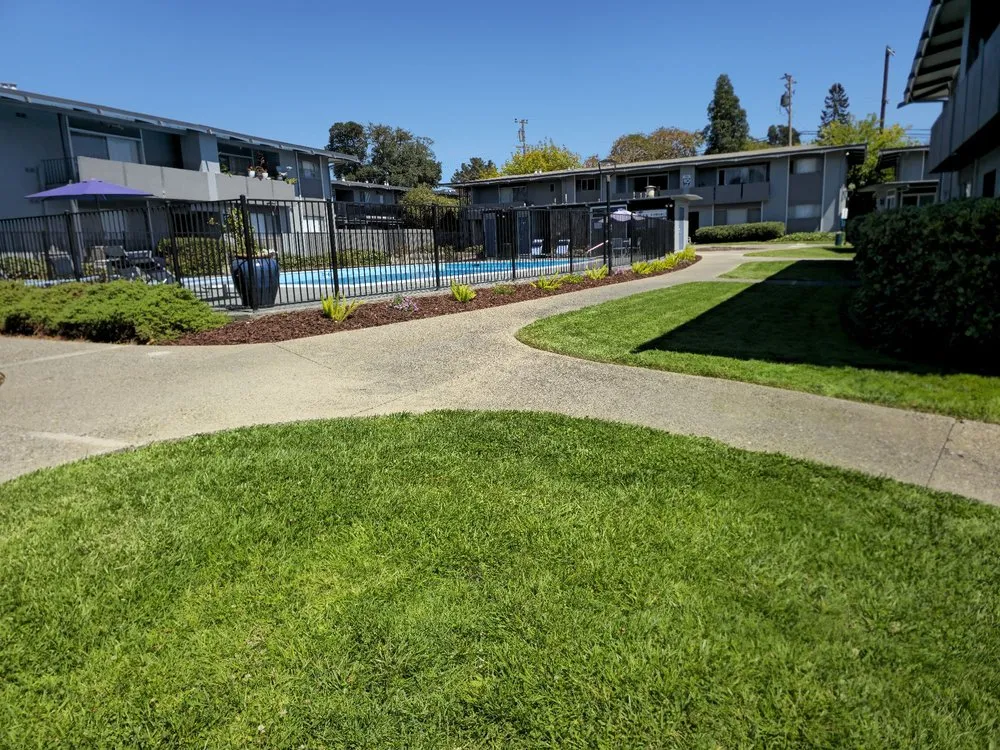 Affordable yard maintenance experts serving American Canyon, CA - iGreen Landscaping Company