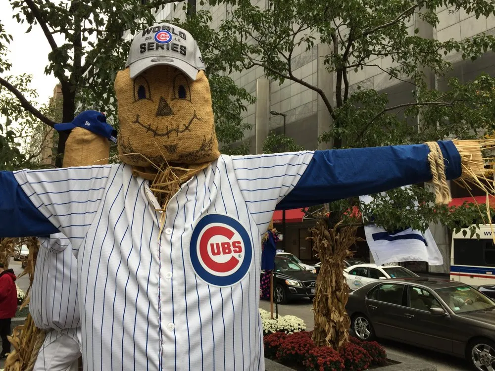 Local landscaping services near you across Chicago, IL - IGS Plantscaping Group