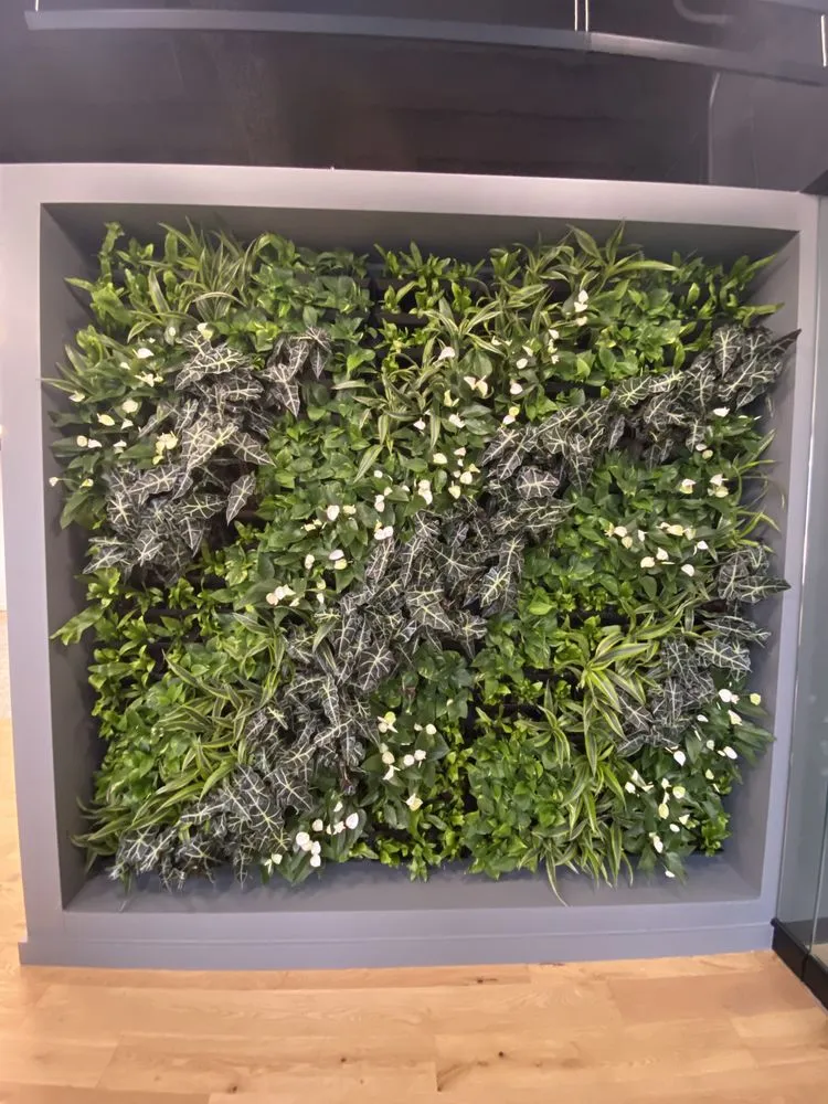 Reliable lawn mowing service for residential properties in Chicago, IL by IGS Plantscaping Group