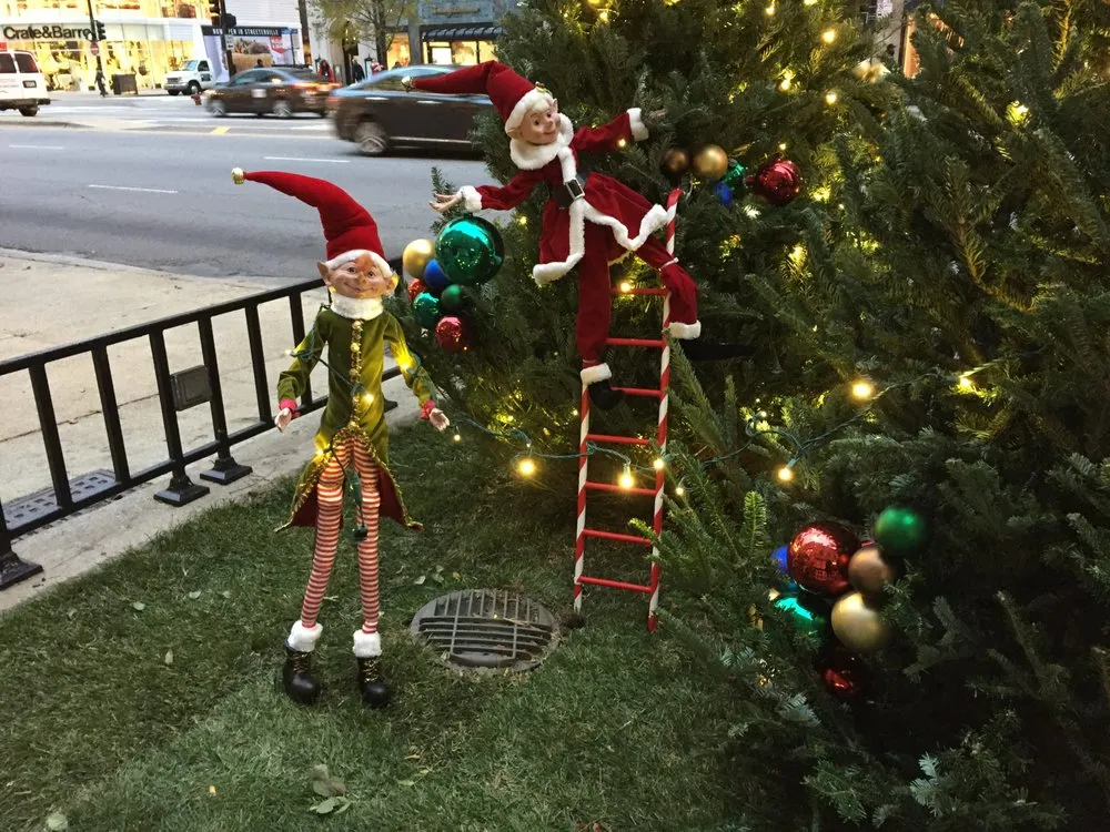 Trusted lawn mowing service in Chicago, IL by IGS Plantscaping Group