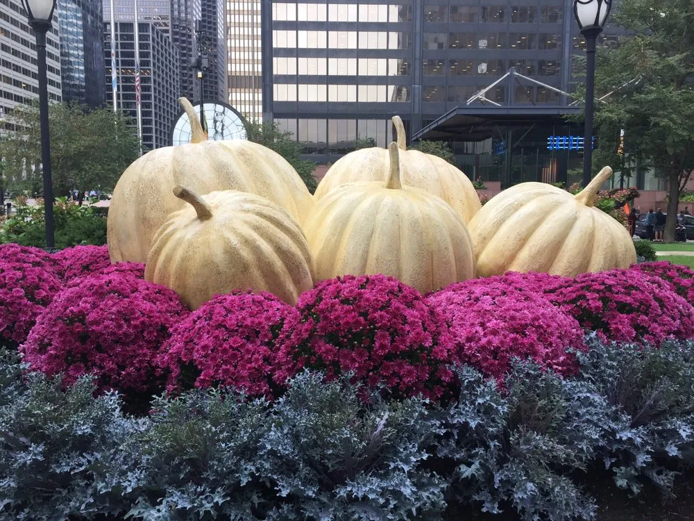 Custom yard maintenance in Chicago, IL by IGS Plantscaping Group