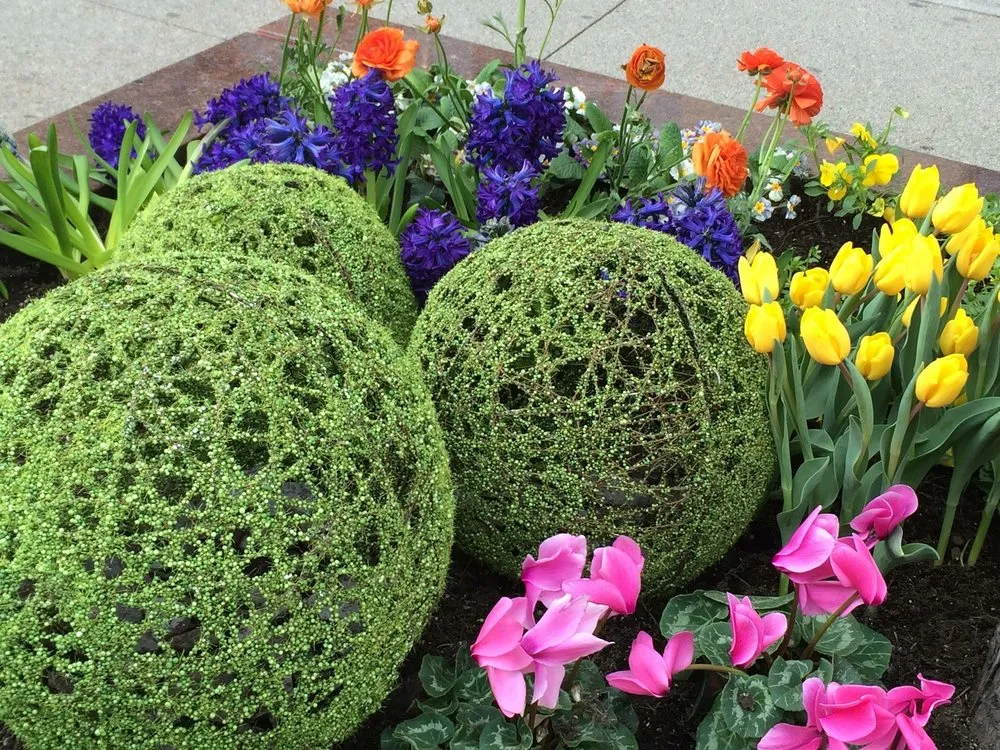 Reliable landscaping services in Chicago, IL - IGS Plantscaping Group