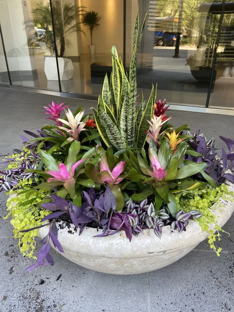 Professional landscaping services with custom design across Chicago, IL - IGS Plantscaping Group