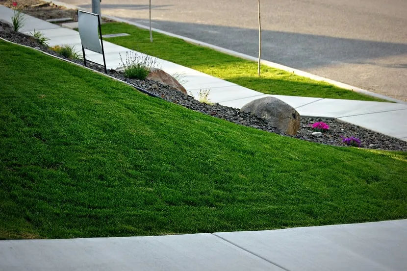 Reliable yard cleanup service for beautiful yards in Kennewick, WA by IGT Landscaping & Excavation