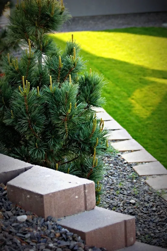 Trusted landscaping services in Kennewick, WA - IGT Landscaping & Excavation