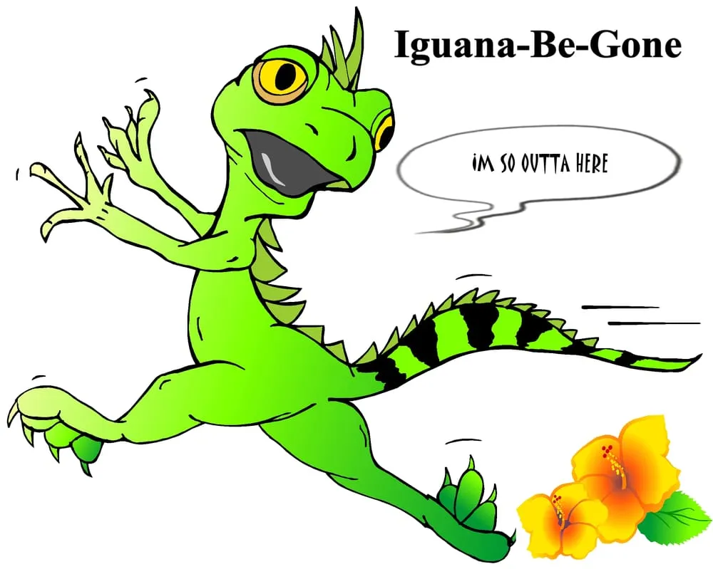 Custom residential landscaping with custom design across Marathon, FL - Iguana Be Gone