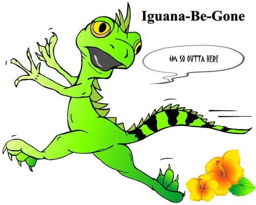 Iguana Be Gone