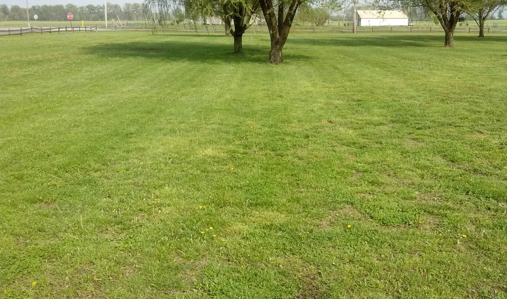 Custom landscape installation experts serving Johnston City, IL - IHA Services Lawn Care & Landscaping