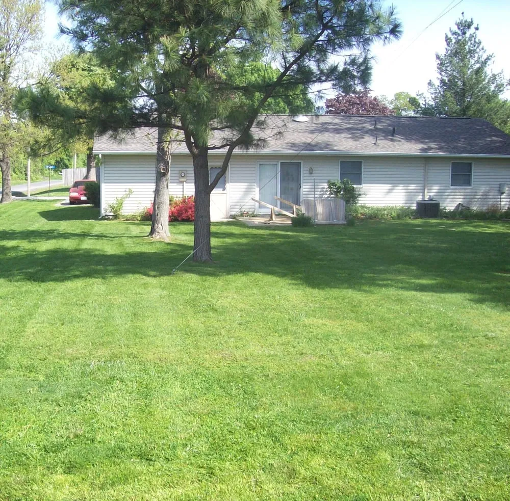 Trusted yard cleanup service in Johnston City, IL by IHA Services Lawn Care & Landscaping
