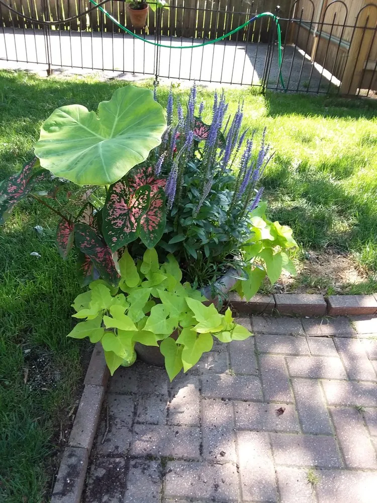 Reliable outdoor landscaping in Trappe, PA by iHarte Landscaping