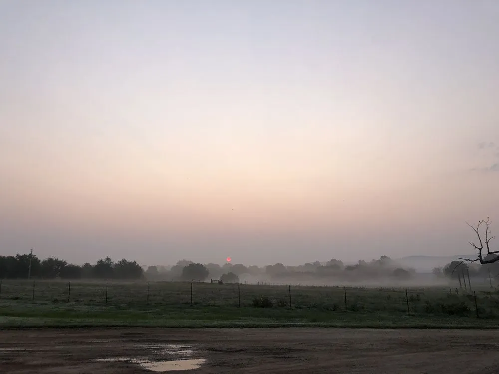 Expert landscape installation for outdoor upgrades in Farmington, AR by IHS Lawns